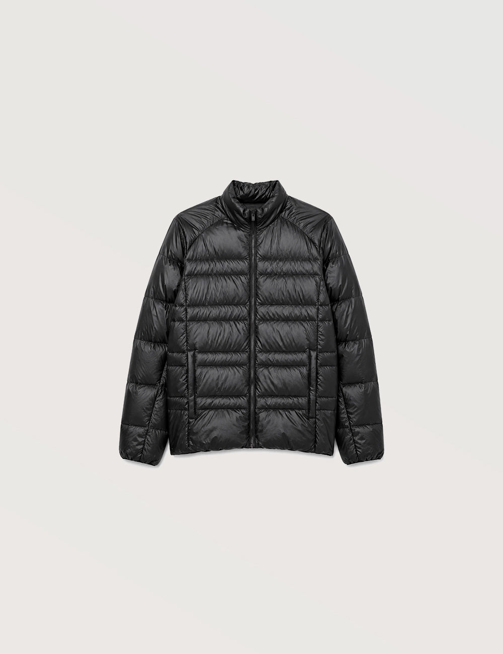 Modern Zip Front Jacket