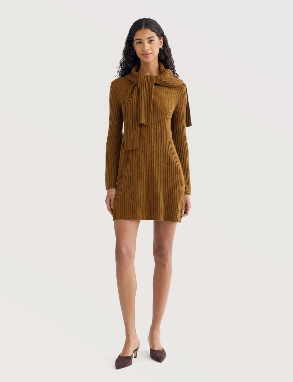 Solid Ribbed Turtleneck Dress
