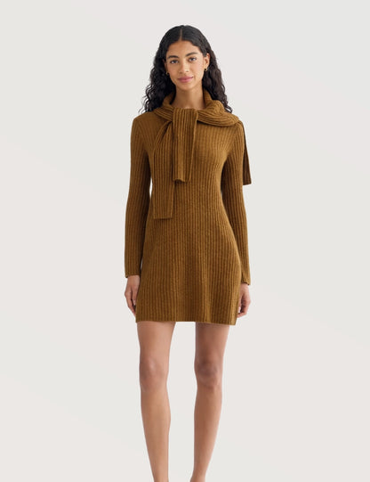 Solid Ribbed Turtleneck Dress