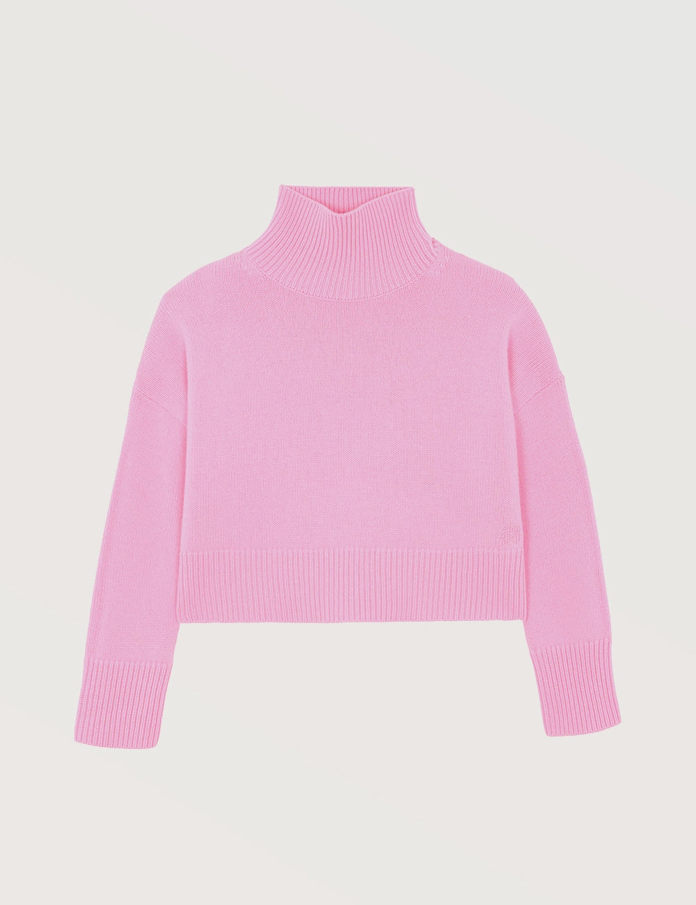 Soft Knit Turtleneck Sweater