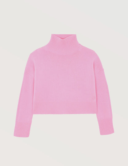 Soft Knit Turtleneck Sweater