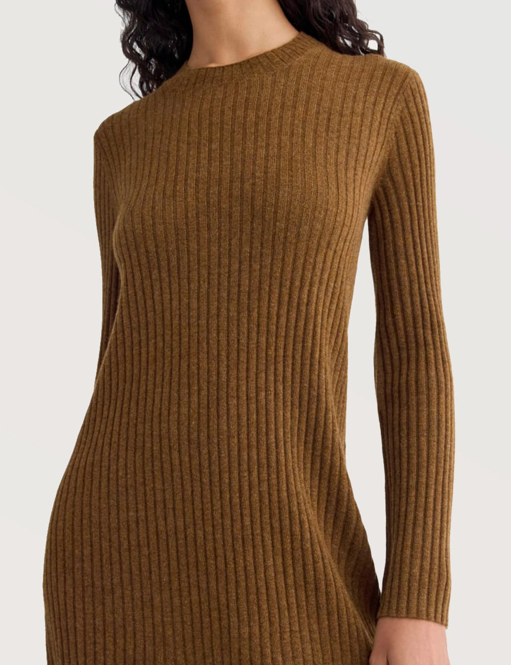 Solid Ribbed Turtleneck Dress