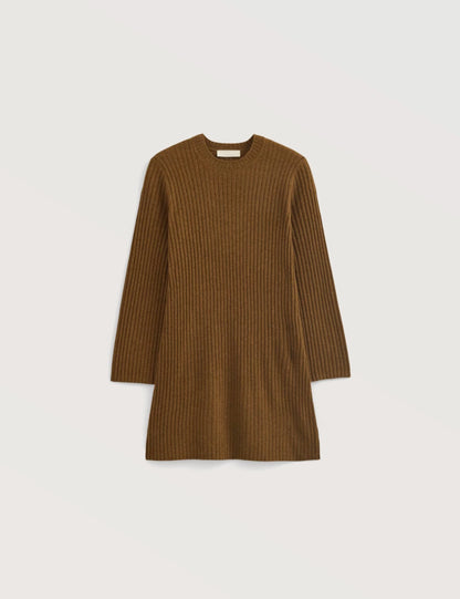 Solid Ribbed Turtleneck Dress